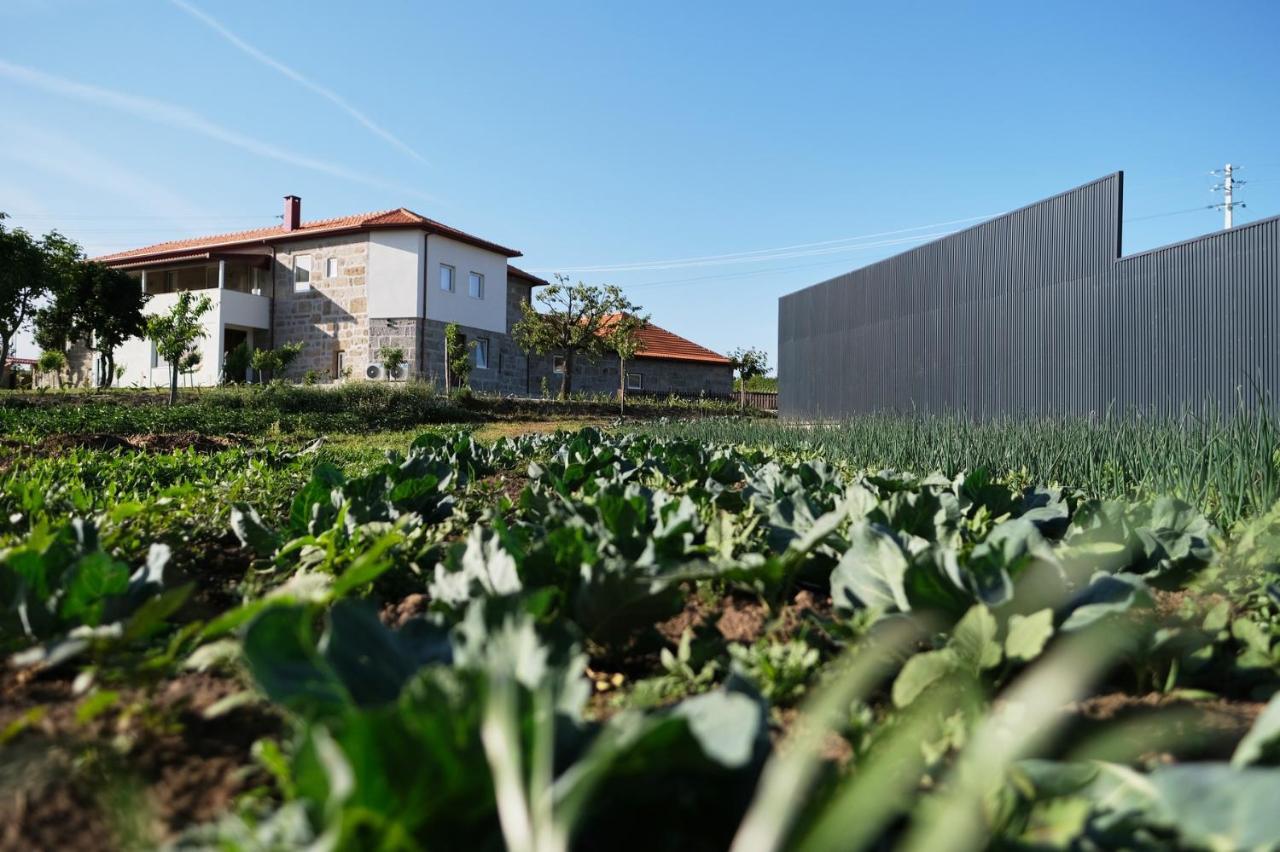Aldeia Da Quinta Do Paco Villa Santo Tirso Kültér fotó
